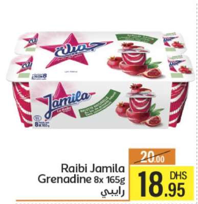 Raibi Jamila Grenadine 8x165g