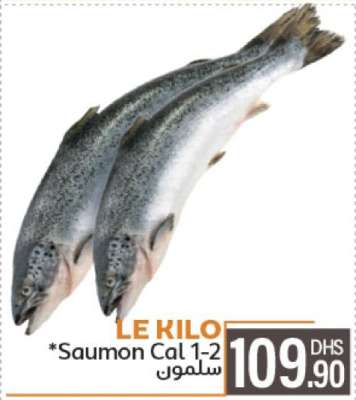 Saumon Cal 1-2