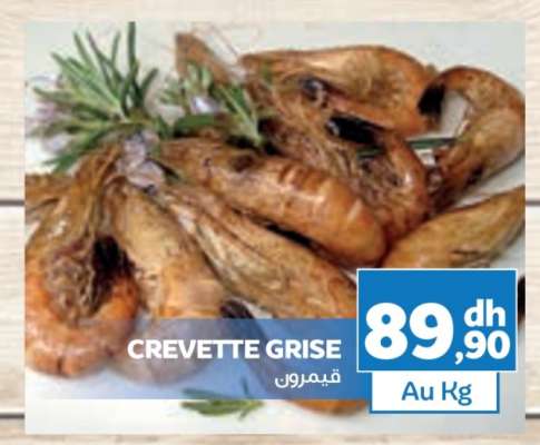 CREVETTE GRISE