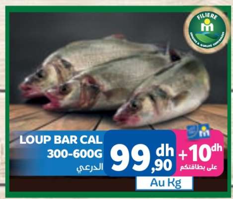 Loup Bar Cal 300-600G