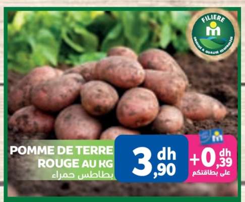 Pomme de Terre Rouge au Kg
