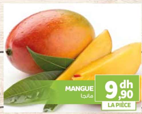 Mangue