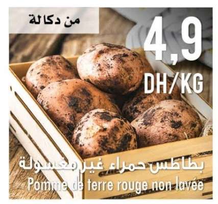 Pomme de terre rouge non lavée