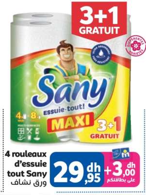 4 rouleaux d'essuie tout Sany