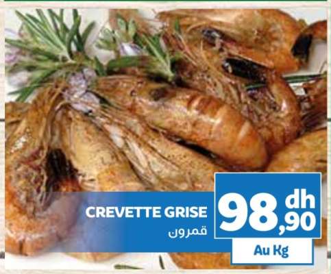 CREVETTE GRISE